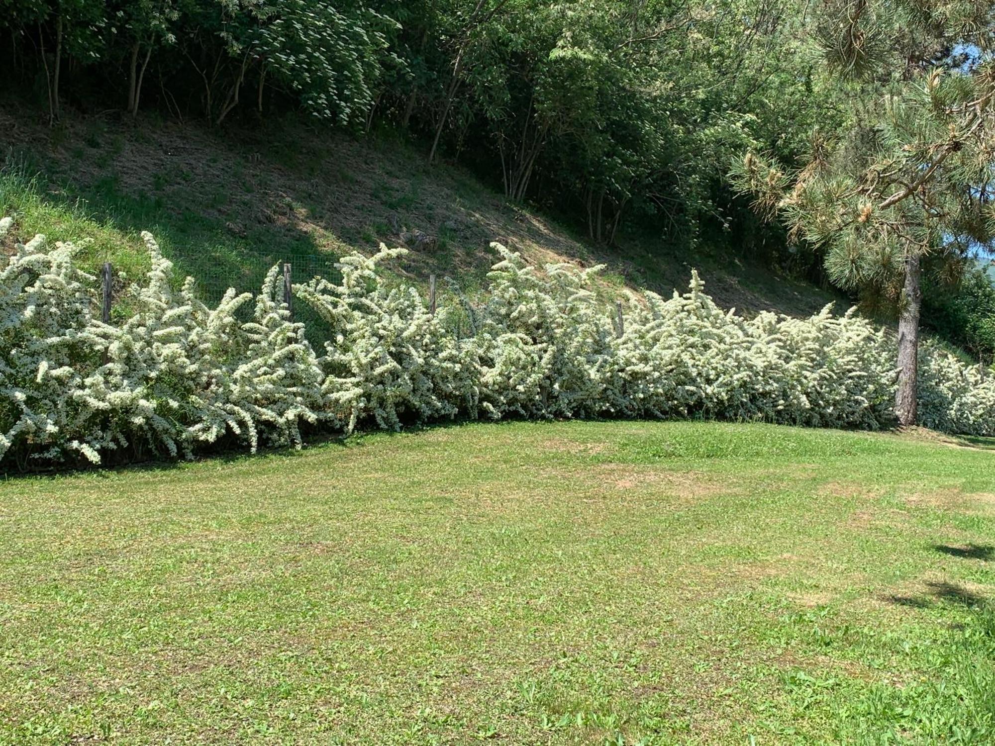 Podere Campofossato Pistoia Dış mekan fotoğraf